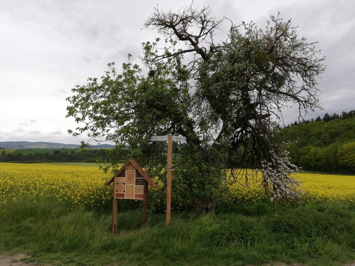 Eifelpause Lägenhet Plaidt Exteriör bild