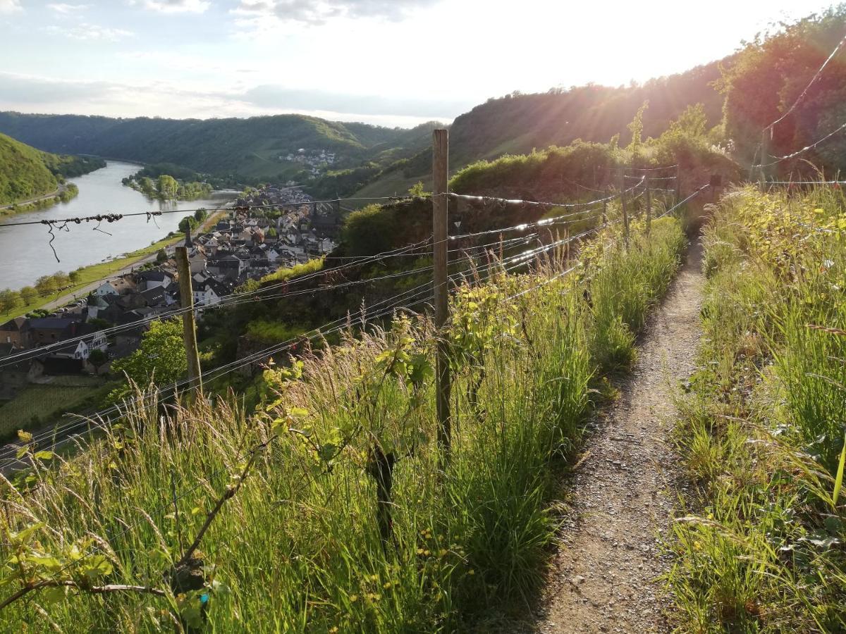 Eifelpause Lägenhet Plaidt Exteriör bild
